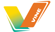 Vine